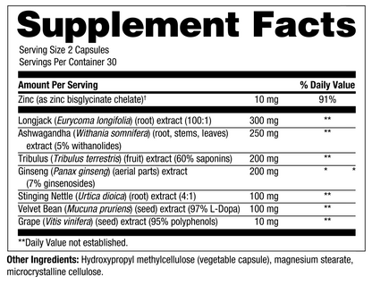 Male Hormone Balance